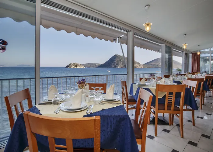 Τολό Ξενοδοχείο