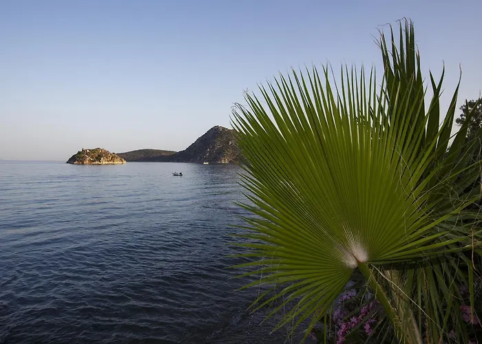 Szálloda Hotel Tolo